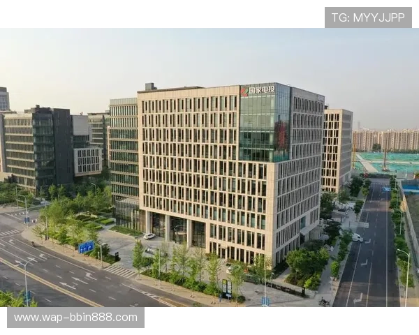 宝盈集团旗下公司在绿色能源产业的投资项目与可持续发展目标